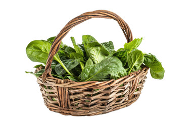 Verdant Spinach Container isolated on transparent Background