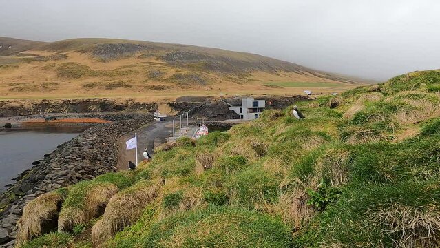 Hafnarholmi puffin colony and Borgarfjordur Eystri harbor marina in Iceland