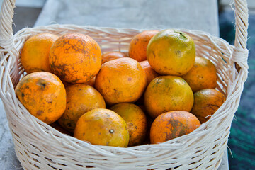 Close-up of orange fruit in basket