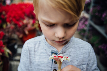 Young boy surrounded by flowers holds up flower to smell.