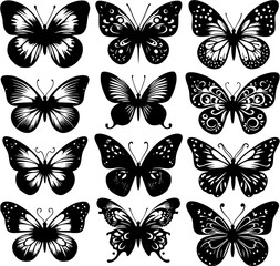 Obraz premium set of butterflies