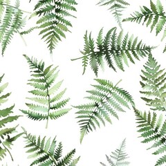 Watercolor Ferns, Delicate fern leaves on white background