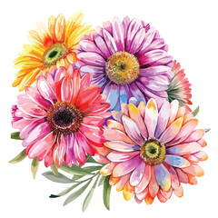 Decorative Gerber flowers watercolor illustration.