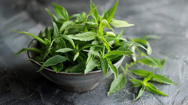 Fresh Lemon verbena hurb
