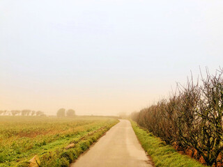 Fototapeta na wymiar Misty landscape near Plemont Bay, Jersey