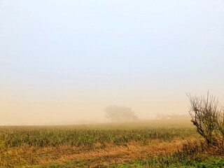 Fototapeta premium Misty landscape near Plemont Bay, Jersey