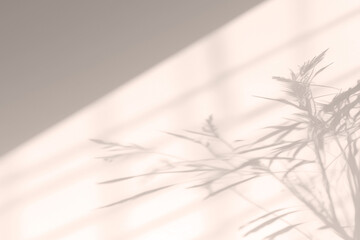 Realistic Botanical Plant Shadow on the Wall with Warm Filter