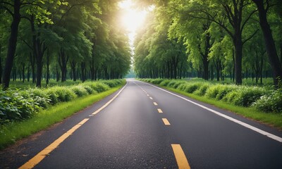 Fototapeta na wymiar Peaceful Road Amidst Lush Green Trees