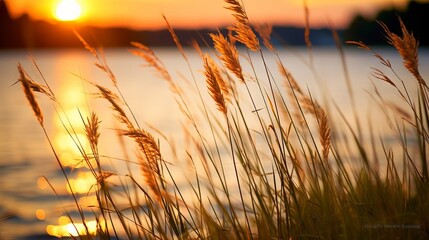 Golden Hour Glow: Tranquil Lake Shore with Vibrant Grasses at Sunset, Canon RF 50mm f/1.2L USM...