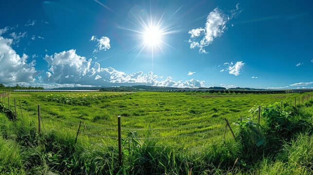 Amazing view of a lush green field stretching as far as the eye can see, with a bright blue sky and fluffy white clouds overhead.