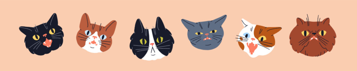Cute shocked cats, feline heads set. Funny amazed surprised puzzled kitties looking, staring with astonished emotion, expression. Ridiculous meme kitten emojis. Isolated flat vector illustrations - 747831519