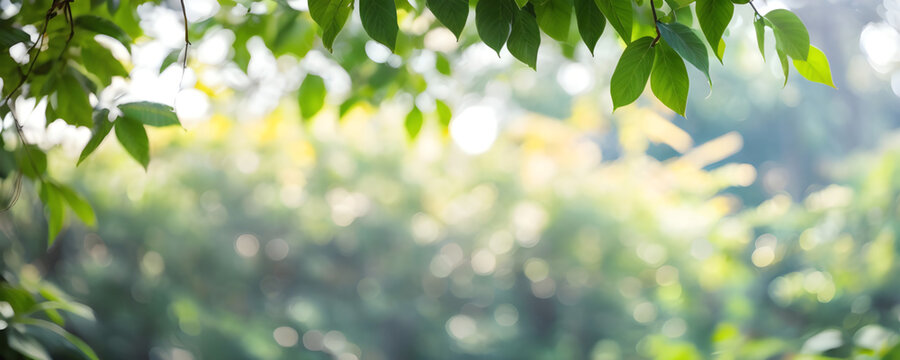 Nature background Blur green leaves banner with copy space ai generated