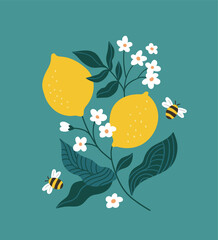 Vector stylish lemon branch isolated. Fruit card design. Blooming Lemon backround. Hand-drawn citrus fruit  illustration. Lemons, flowers and bees. - 747834948