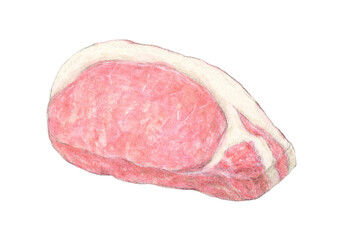 厚切り豚ロース肉1枚　水彩色鉛筆イラスト