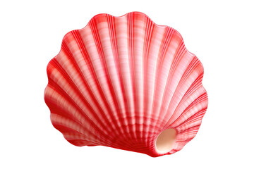 Raw scallop isolated on PNG Background. Generative Ai.
