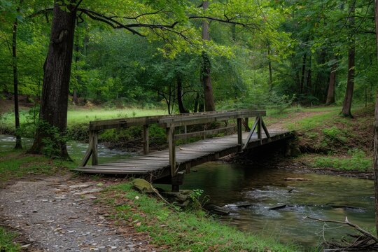 A sturdy wooden bridge spans a small stream nestled within a lush forest, Rustic wooden bridge crossing a quiet creek, AI Generated