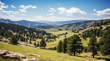 Fototapeta na wymiar Idyllic Green Landscape at Rocky Mountains National Park: Captured with Canon RF 50mm f/1.2L USM