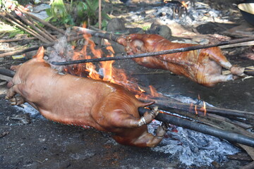 Lechon Baboy, Roasted Pig