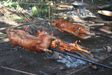 Lechon Baboy, Roasted Pig