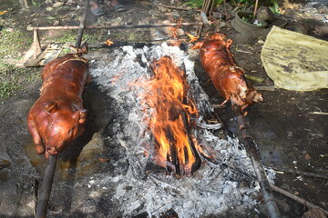 Lechon Baboy, Roasted Pig