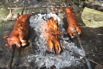 Lechon Baboy, Roasted Pig