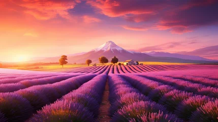 Raamstickers Lavender Fields Aglow: Captivating Sunset Landscape Shot with Canon RF 50mm f/1.2L USM © Nazia