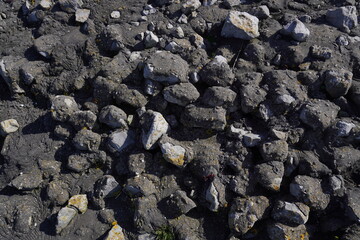black, grey and white stones, rocks and sea shore with a hidden geocache in the picture which is almost invisible