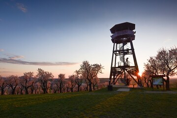 Magical sunset in blooming almond orchard in Hustopece in the early spring time with beautiful color palette 