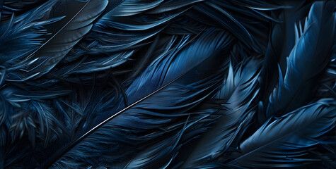 a dark blue background with a black feather stock photo