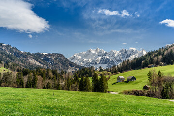 View to the snowcapped Saentis in the Alpstein mountains, Ennetbuehl, Canton Sankt Gallen,...