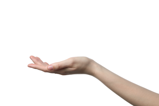 PNG,female hand, isolated on white background