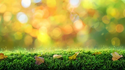 Poster Fluffy green moss against a beautiful blurred natural landscape background in a long panorama, embodying the concept of a cozy autumn mood © shaiq
