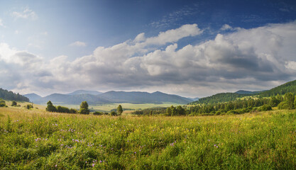 Green meadow and mountain valley, morning light - obrazy, fototapety, plakaty