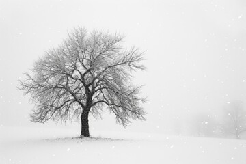 A black and white photo featuring a tree covered in snow against a stark winter landscape, The silhouette of a single lonely tree in a winter snow storm, AI Generated - Powered by Adobe