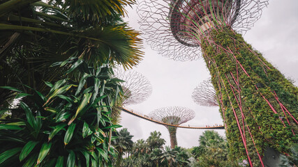 garden by the bay singapore