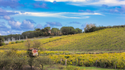 The little tree house