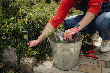 A young woman pulls weeds in her huge garden in the spring, clearing the garden after winter - obrazy, fototapety, plakaty