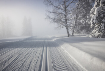 piste de ski nordique dans la brume matinale