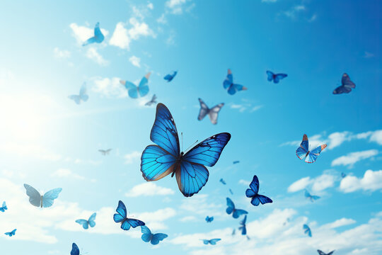 Fototapeta Blue butterflies fly in a blue sky. Generated by artificial intelligence