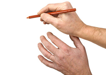 Two Artist Hands drawing isolated