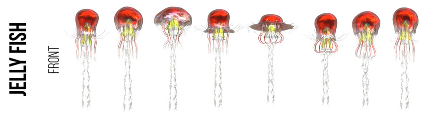 Swimming sequence of a red Jellyfish on a transparent background - Front View