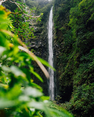 Levada do Caldeirão Verde, Madeira, a majestic waterfall in the middle of untouched nature