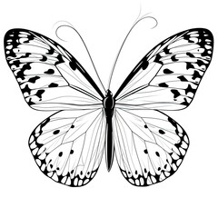 Silhouettes of butterflies. Black pictures of funny butterflies. Insect butterfly black silhouette, winged gorgeous animal, vector illustration