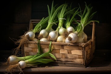 a basket of onions with stems - obrazy, fototapety, plakaty