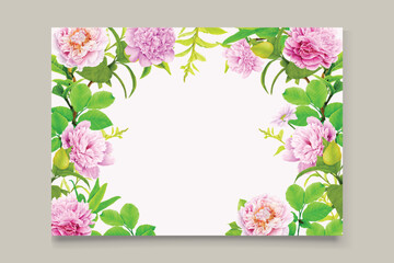 peonies background and wreath illustration design