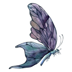 Hand drawn watercolor illustration butterfly fairy wings gem crystal insect moth. Amethyst charoite fluorite ametrine. Single object isolated on white background. Design print, shop, wedding, birthday