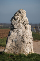 Weißer Stein (Menhir) Dittelsheim-Heßloch