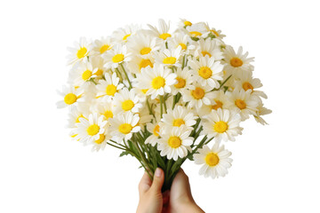 A person delicately holds a colorful bouquet of daisies in their hand. The individuals fingers gently grip the stems of the flowers, highlighting the natural beauty of the daisies.