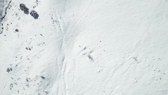 Survol de la neige
