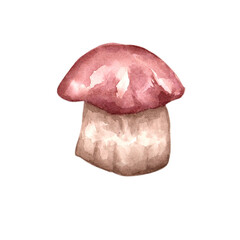 Autumn taste, simple mushroom illustration.